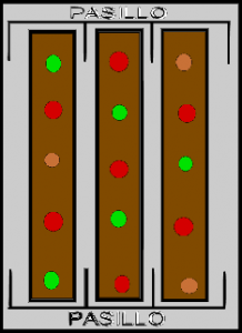 Grafico de Planta