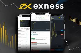 Understanding Exness Brokerage Fees A Comprehensive Guide