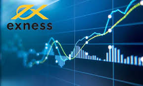 Understanding Exness Brokerage Fees A Comprehensive Guide