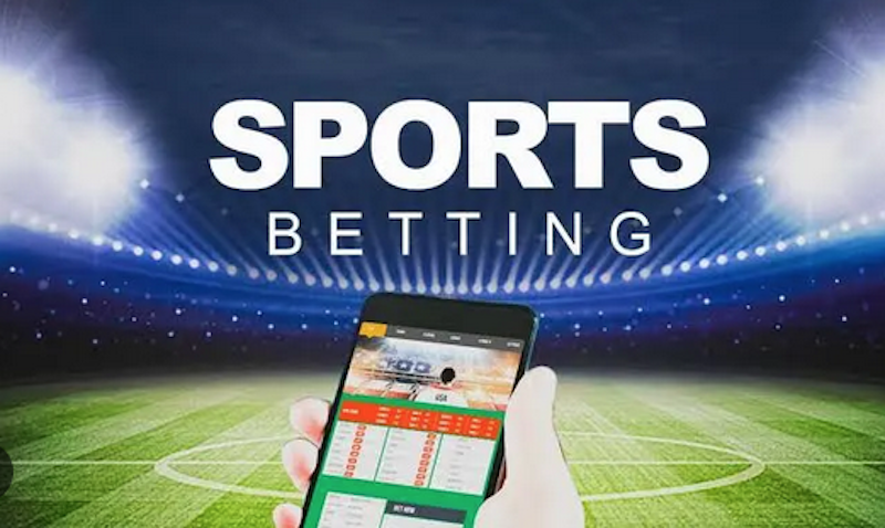 Rara Bet The Ultimate Betting Experience Rara Bet The Ultimate Betting Experience