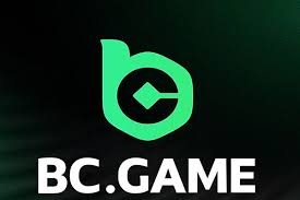 Discover the Thrills of BC Game Crypto Casino